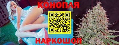 Альфа ПВП Гагарин