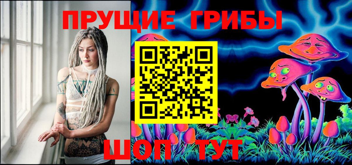 Псилоцибиновые грибы Psilocybine cubensis Трёхгорный