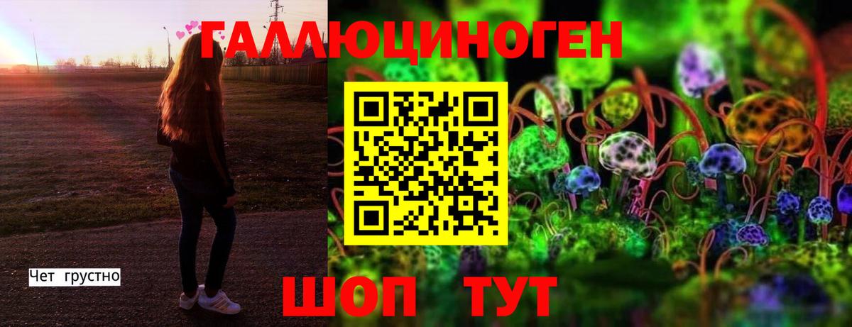 Трёхгорный  Псилоцибиновые грибы Psilocybine cubensis  Вход с VPN  Галлюциногенные грибы Psilocybe 